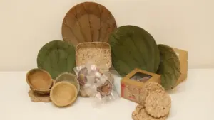 Bao bì sinh học từ lục bình: Giải pháp khởi nghiệp của nhóm sinh viên Cần Thơ