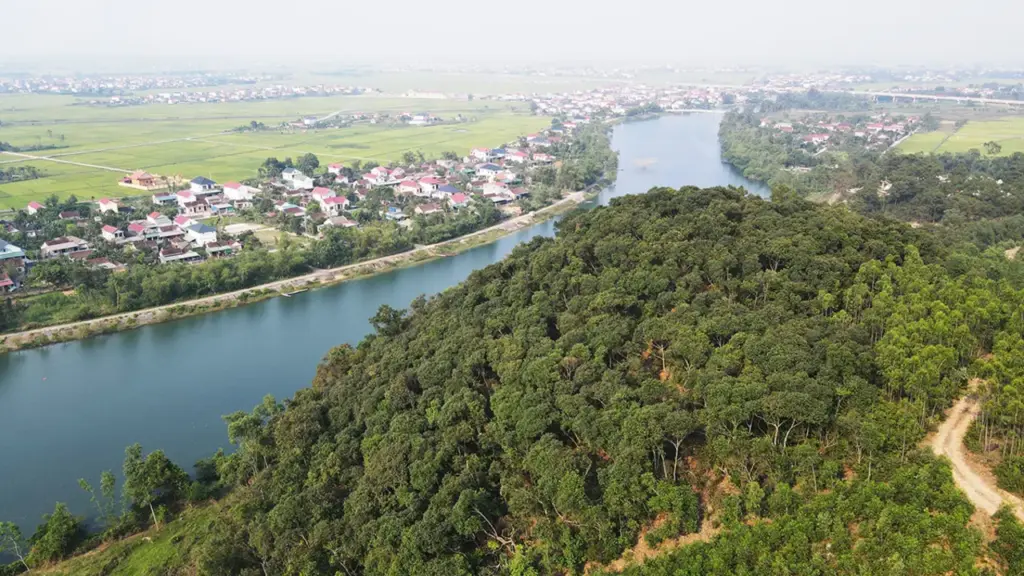 Cánh rừng gỗ quý được gìn giữ suốt 6 thế kỷ