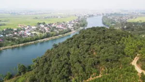 Cánh rừng gỗ quý được gìn giữ suốt 6 thế kỷ