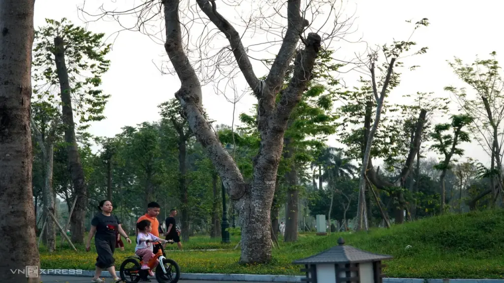 Cây xanh chết la liệt trong công viên lớn nhất Thanh Hóa