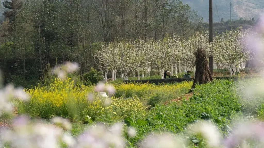 Chọn 4 điểm đi chơi gần Hà Nội dịp Giỗ Tổ, 30/4