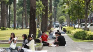 Công viên TP.HCM cao điểm nắng nóng: Người dân đi picnic, trải bạt dưới bóng cây 'giải nhiệt'