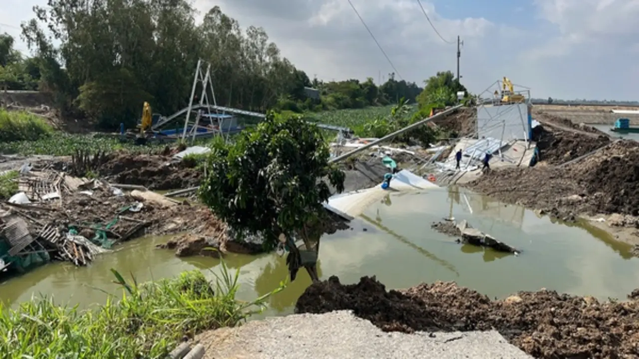 Đồng Tháp: Sạt lở ao cá tra, thiệt hại hơn 7,5 tỉ đồng