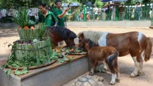 Khách đổ đến dự sinh nhật ngựa lùn ở Thảo Cầm Viên Sài Gòn