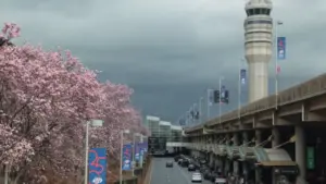 Mỹ tuyển game thủ làm kiểm soát viên không lưu giữa cảnh thiếu nhân lực