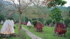 Ngôi tịnh xá dưới chân núi Ngàn Nưa: Hành trình hồi sinh từ phế tích