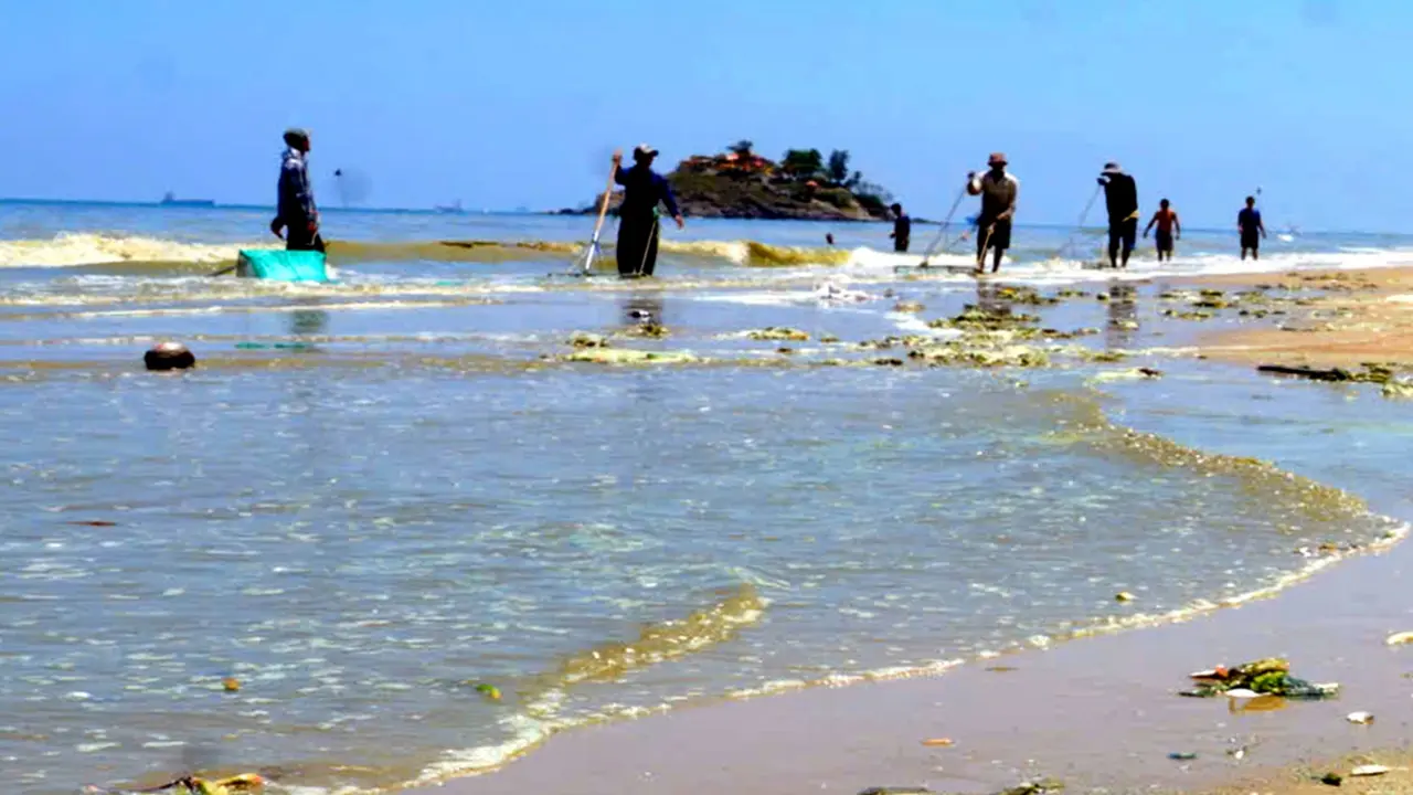 Nước biển ở Vũng Tàu đổi màu xanh, tím nghi do vi tảo